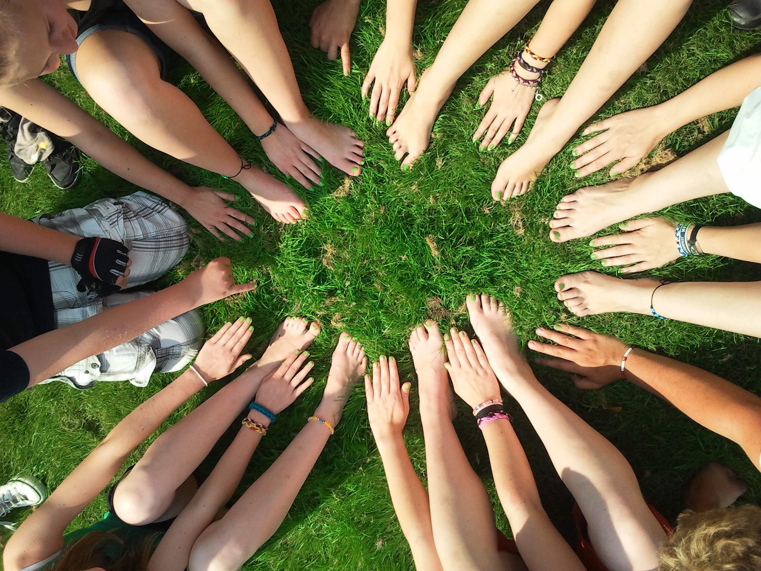 hands in a field